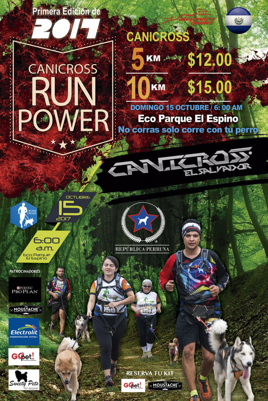 Canicross Run Power